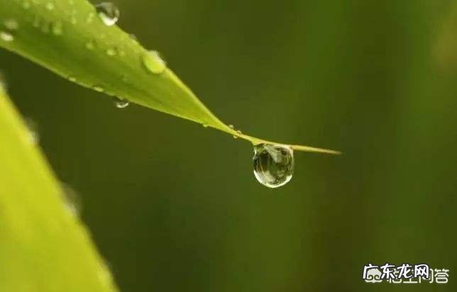 农村老人说:立秋之后会有十八只秋老虎,为啥是十八只呢?今年有秋老虎吗?