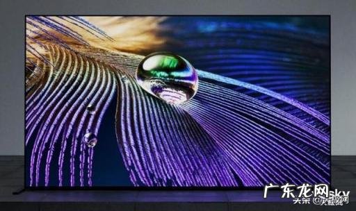 大尺寸液晶电视哪个牌子好 旗舰选No41 六款85吋超大屏电视推荐