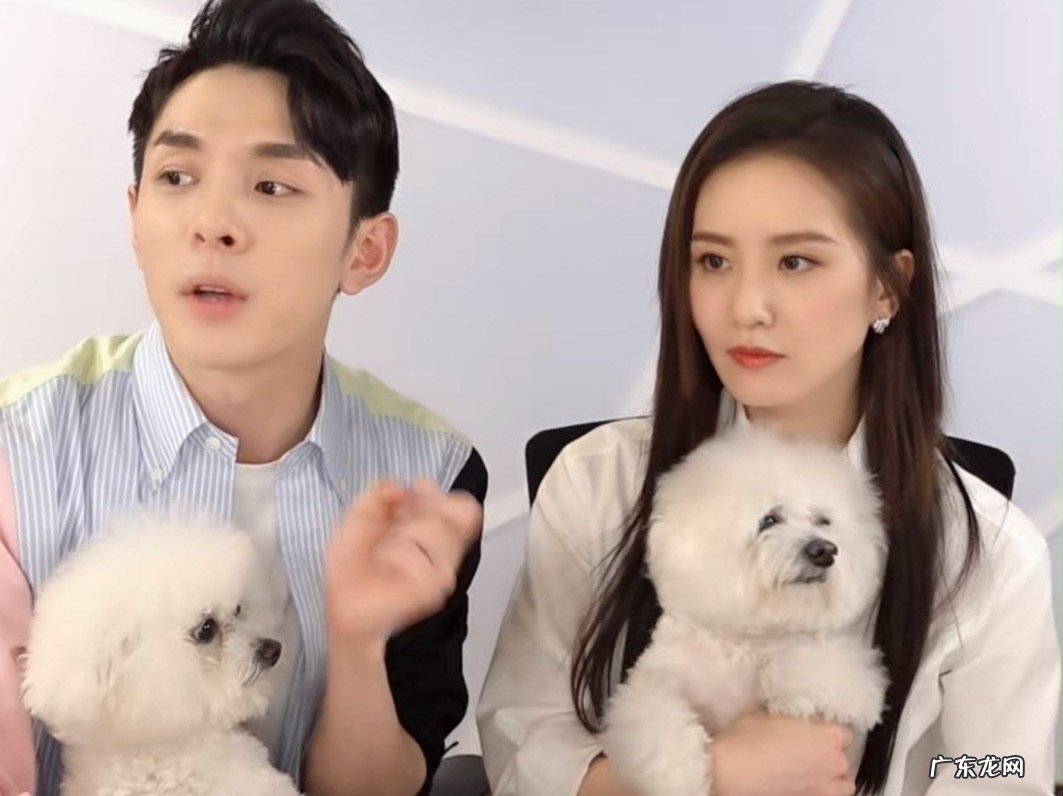 为什么杨幂和刘诗诗前后上李佳琦直播，得到的风评却不一样？