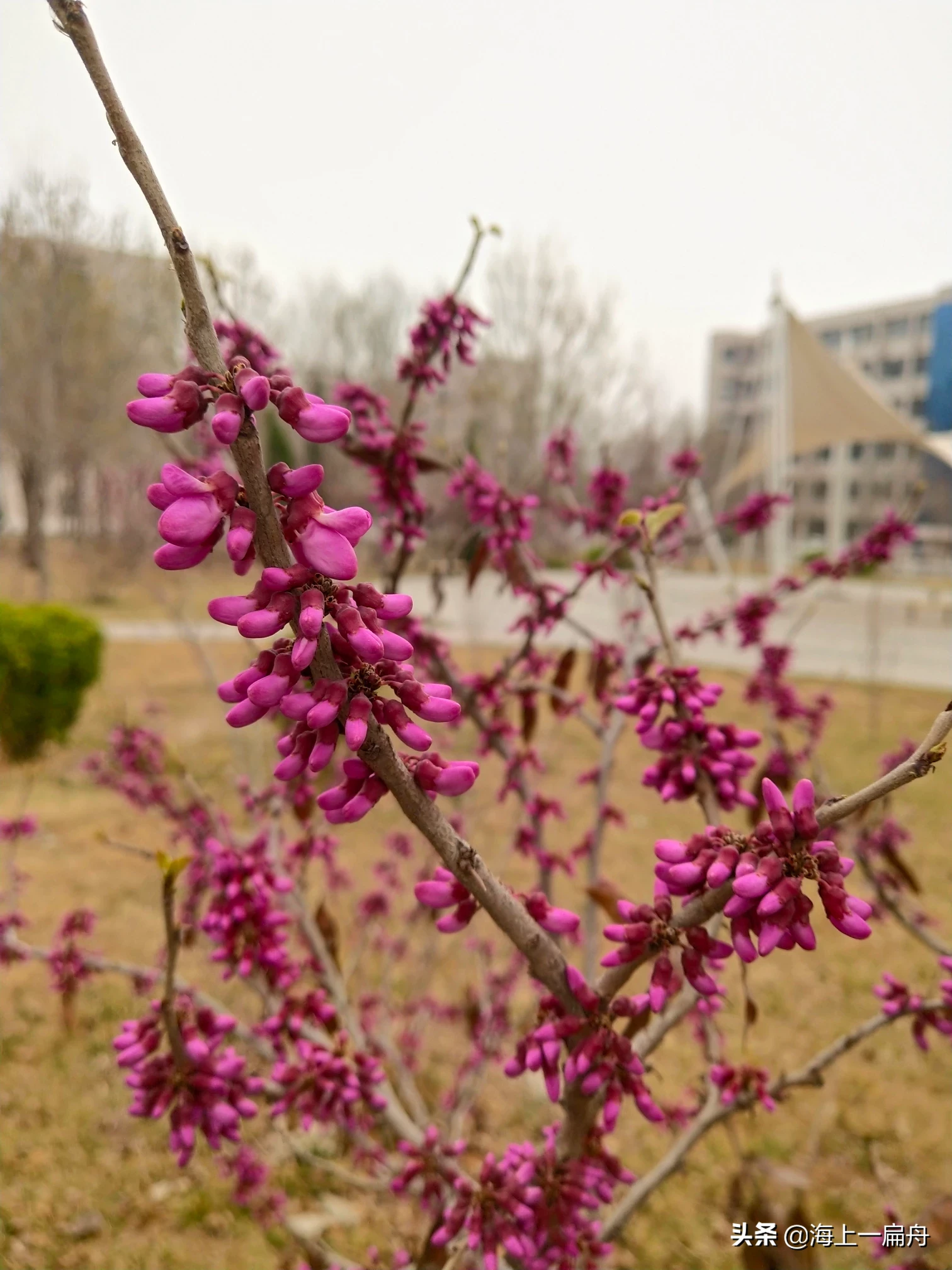 内敛的男生很细心照顾女生,但后来说只是普通朋友,什么意思?