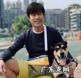 黄心颖安心事件的士视频 黄心颖许志安出租车说话内容全文