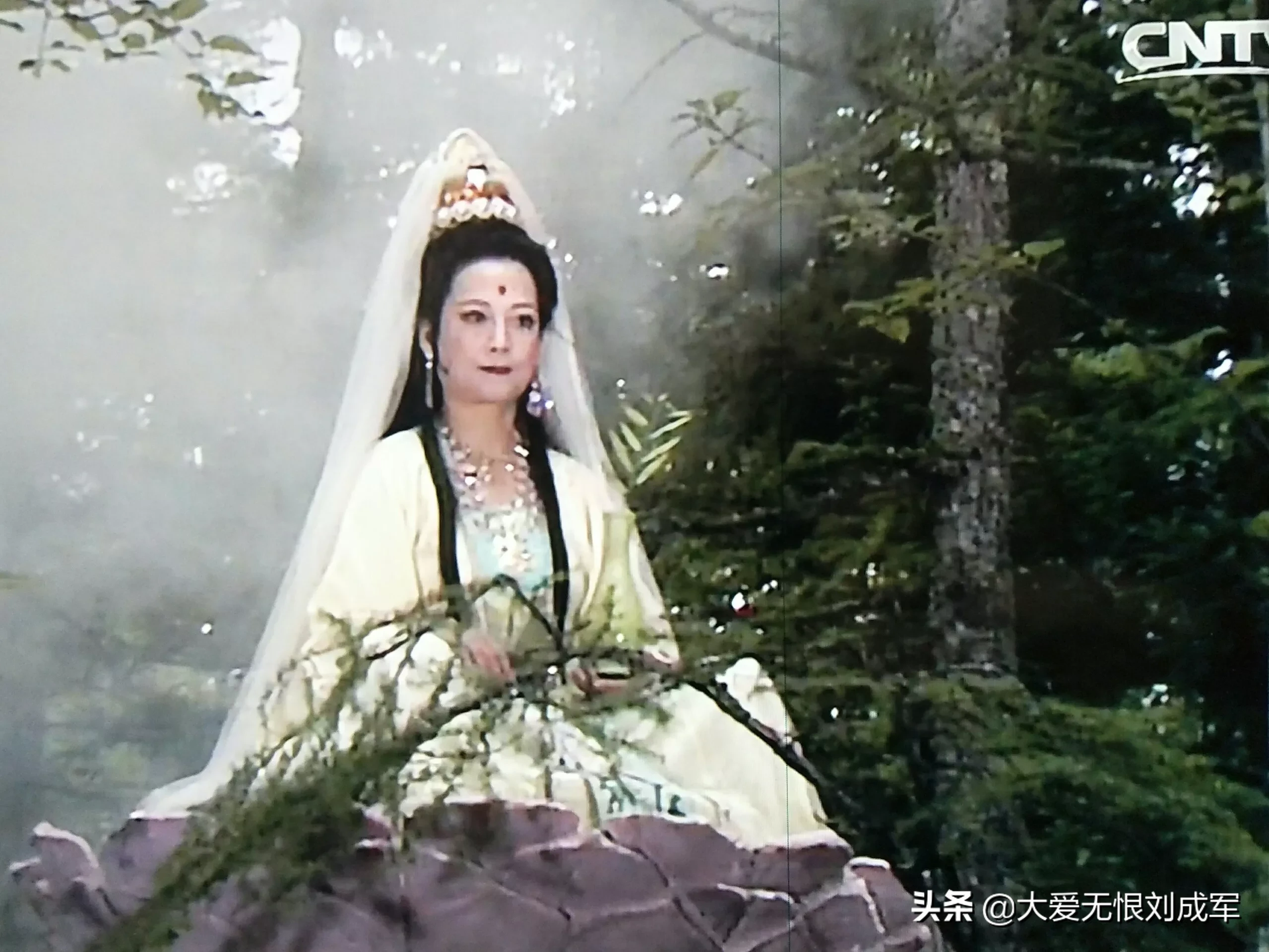 为何“真假美猴王”后,悟空不再寻求观音的帮助,也不再叫呆子?