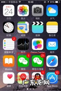 苹果手机有应用分身吗怎么弄 苹果手机怎么应用分身微信聊天