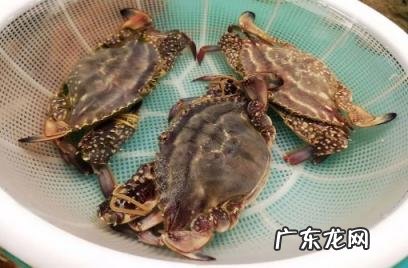 梭子蟹的蟹黄在外面能吃吗 梭子蟹蟹黄在外面正常吗