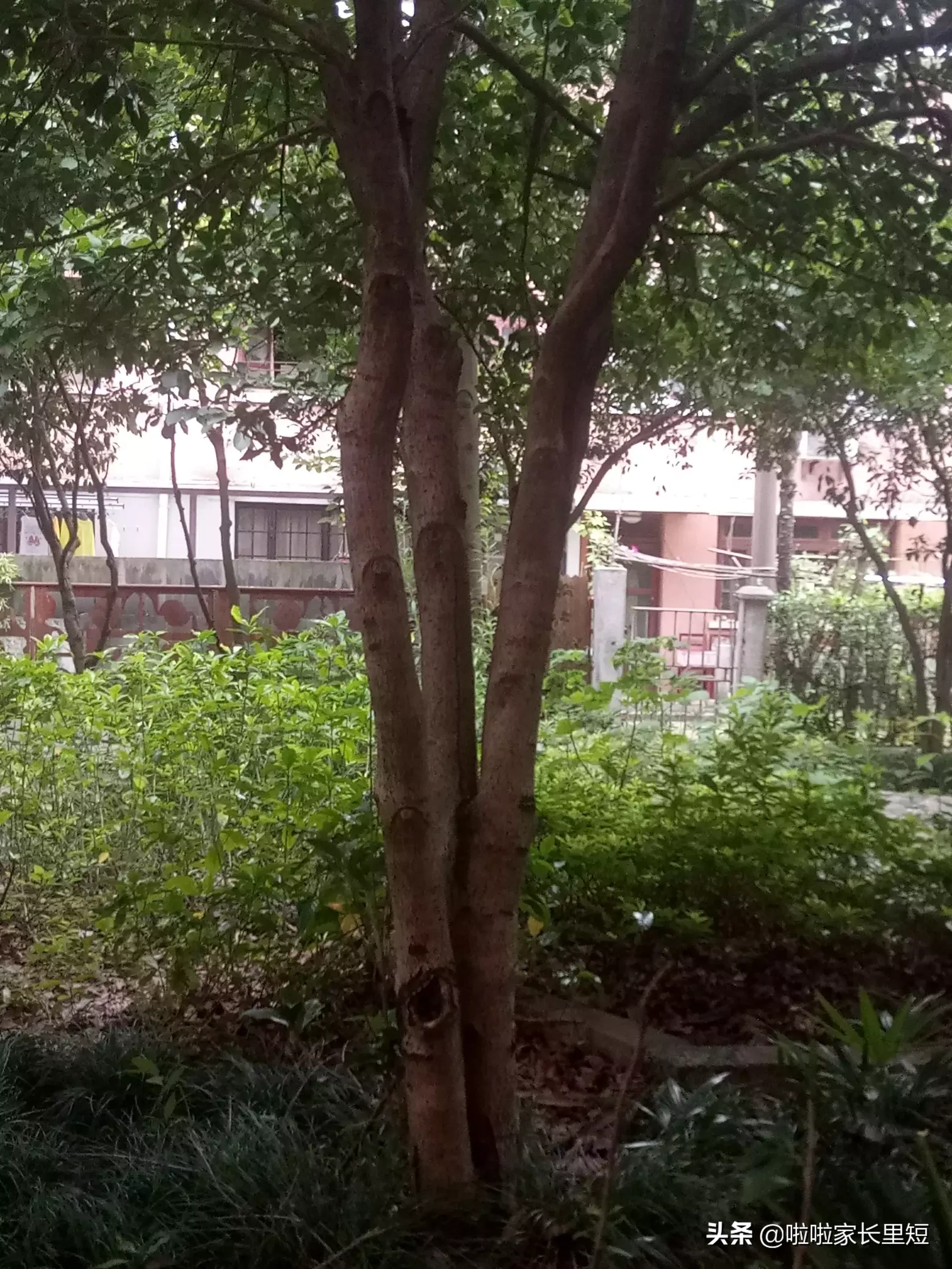 80后的你们有多少当年见网友、网恋的故事,是不是都记忆犹新?