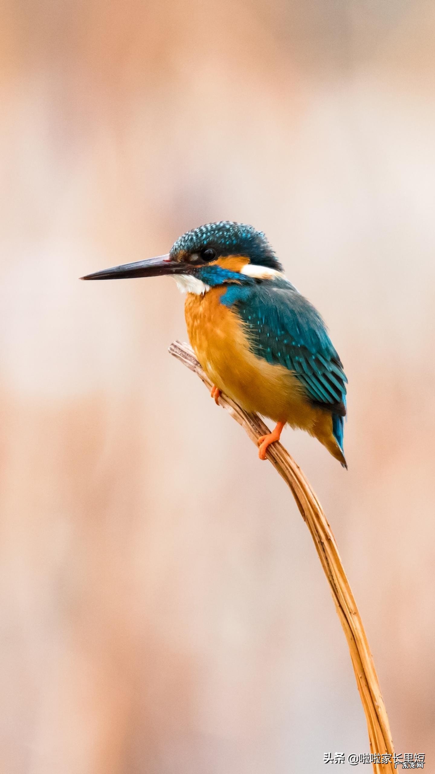 80后的你们有多少当年见网友、网恋的故事,是不是都记忆犹新?