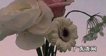 2021最精辟最火的句子 2021最精辟最火的句子在家带孩子