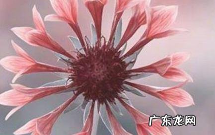 2021最精辟最火的句子 2021最精辟最火的句子在家带孩子