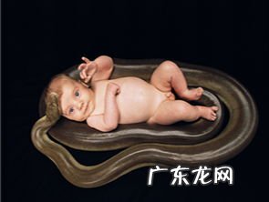 梦见自己被蛇咬到脚是什么征兆 梦到自己被蛇咬到脚出血是什么意思啊