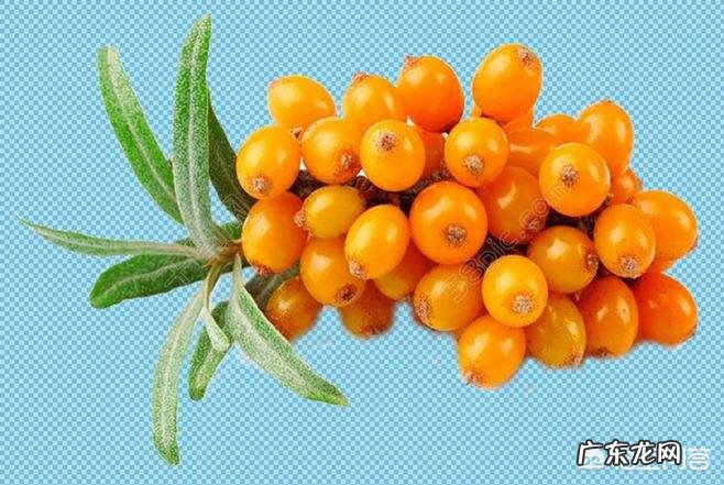 什么水果含锌硒等营养成分?