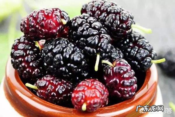 什么水果含锌硒等营养成分?