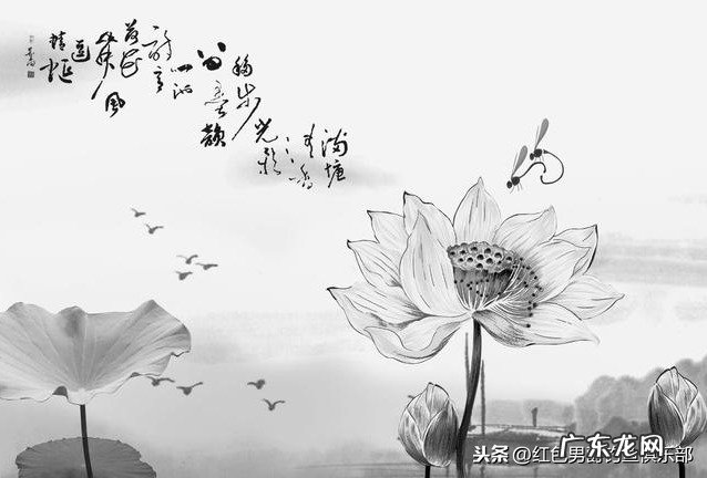 钓鱼的诗句有哪些四年级 钓鱼的诗句有哪些二年级