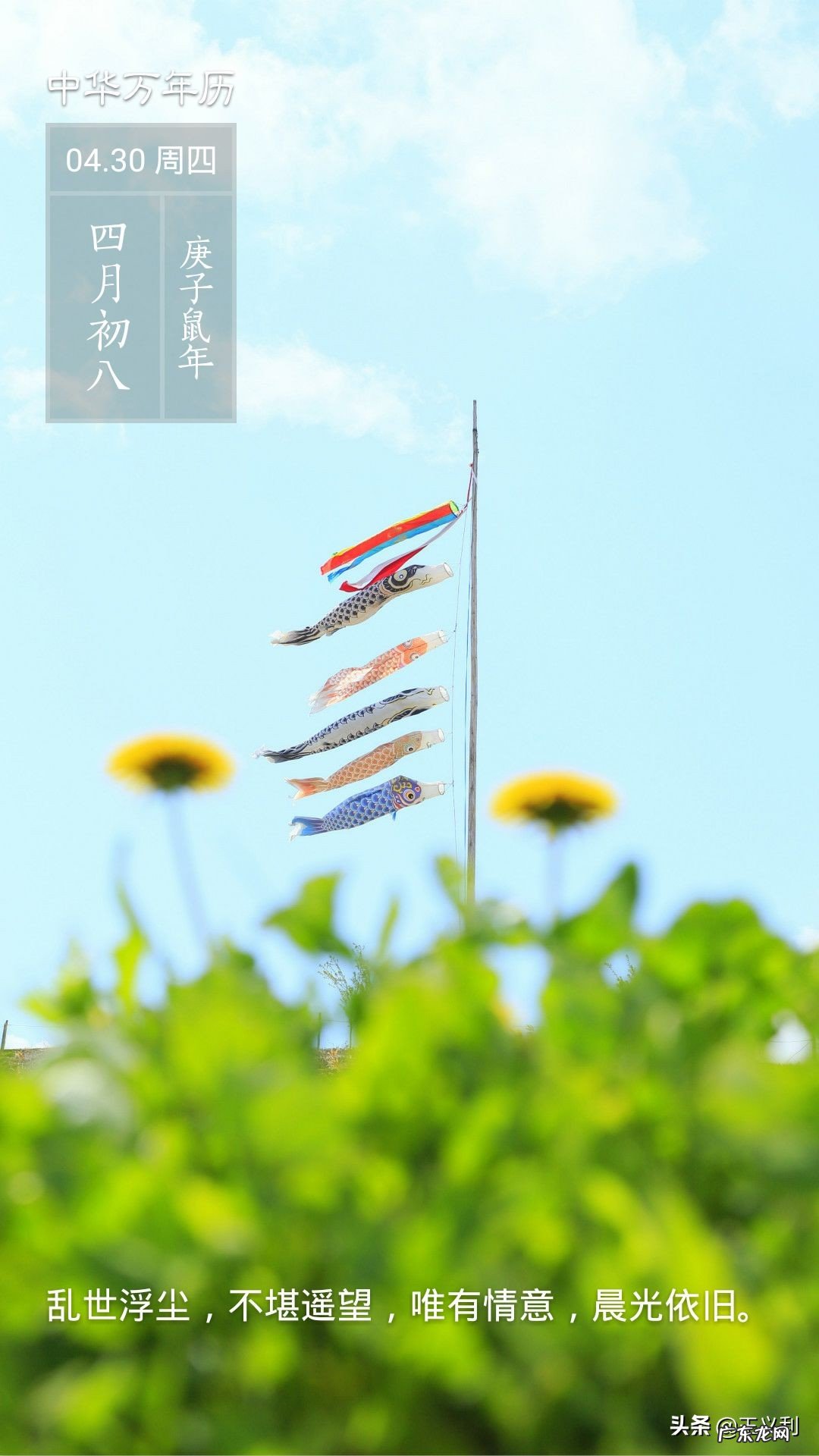 二战有哪些经典名人的语录？