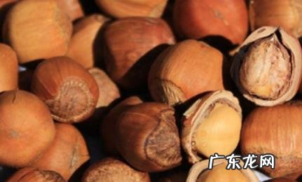 榛子怎样吃法营养最好 榛子怎样吃法营养最好呢