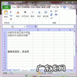 怎么提取表格里的文字和字母 如何在excel里筛选出想要的文字