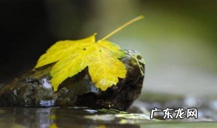 形容秋老虎炎热的幽默词语 形容秋老虎炎热的幽默词语是什么