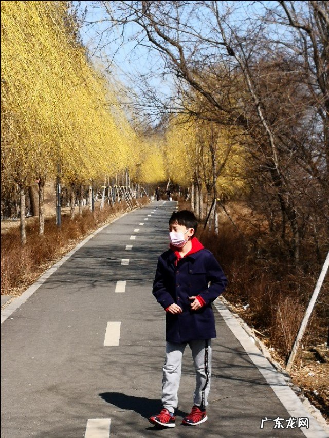 你是如何教育青春期叛逆的孩子?