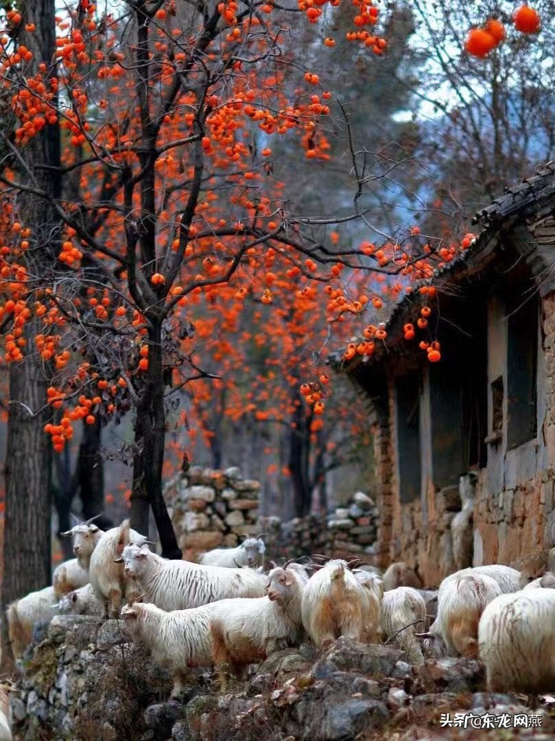 一天不洗脸对皮肤好吗？