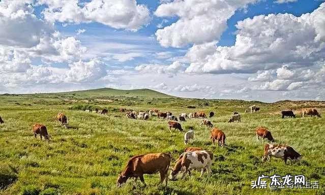 农村创业致富项目有哪些？