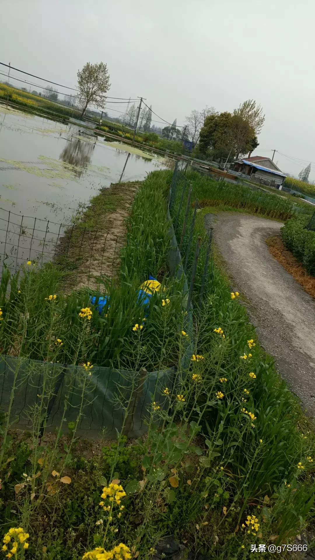 农村创业致富项目有哪些？