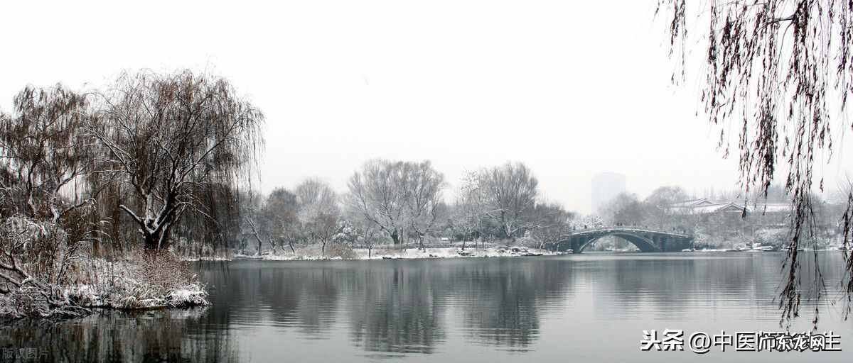 生半夏抗肿瘤pdf 生半夏的作用和功效