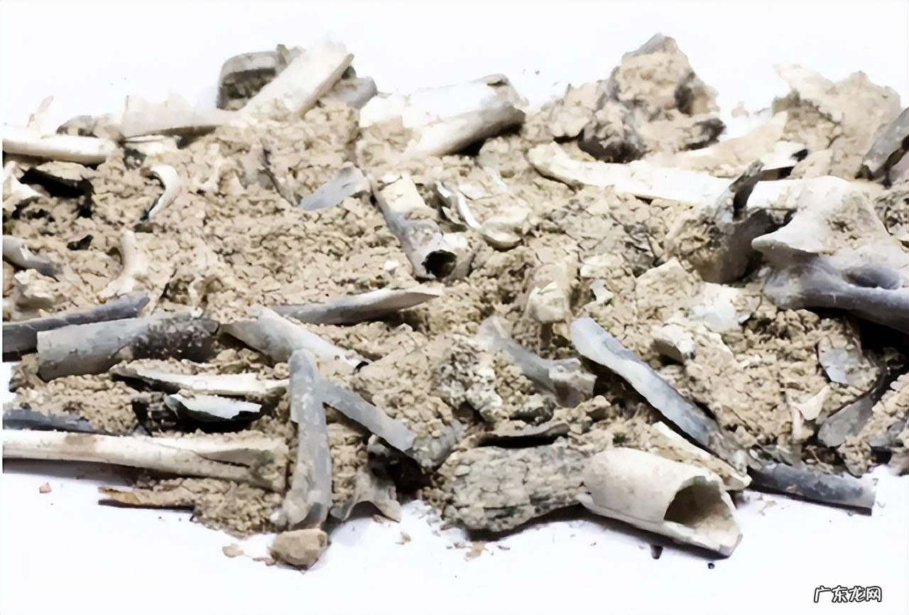 人体火化后会有尸油吗 火化场的尸油是怎么处理的