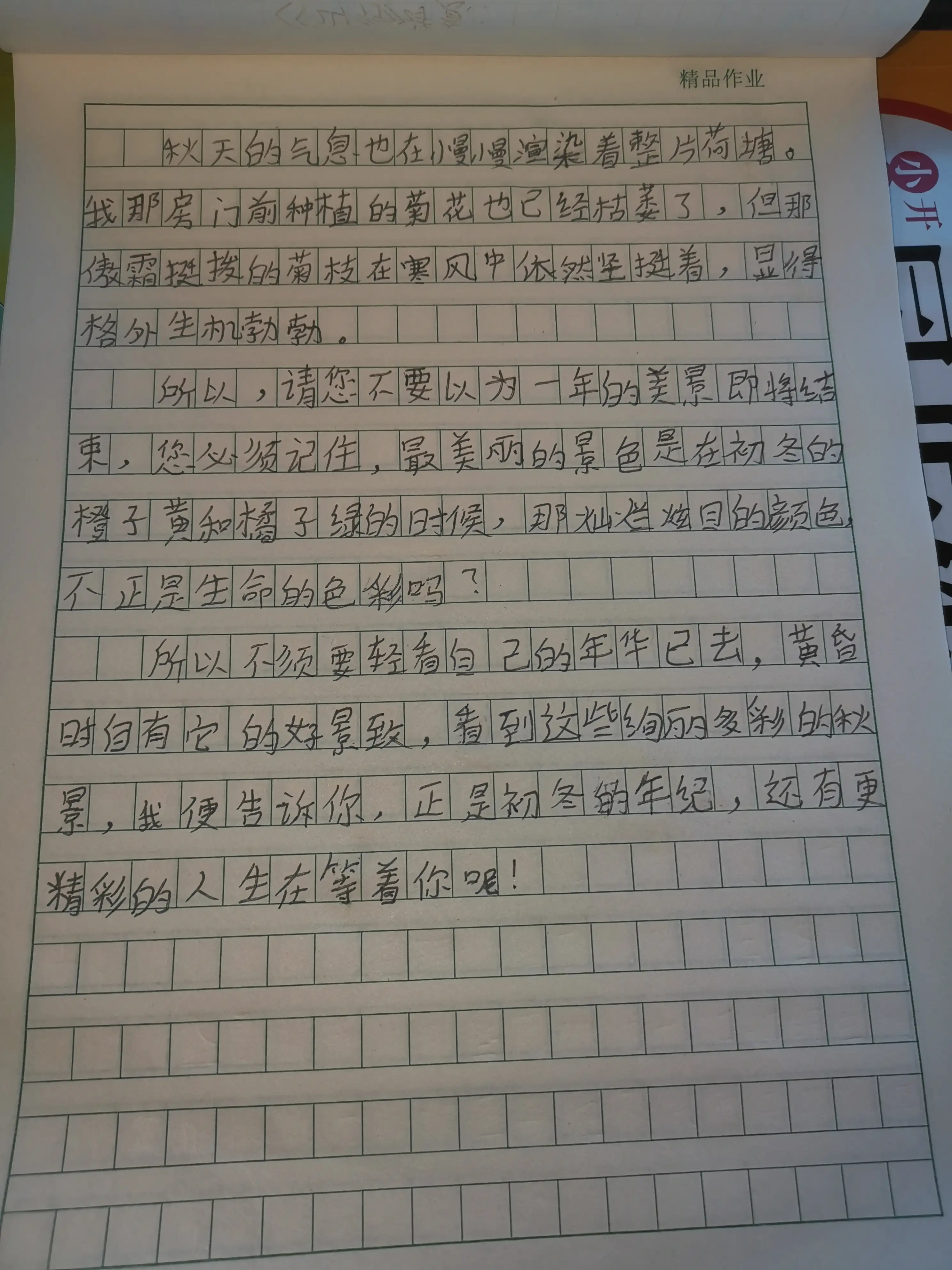 三年级的孩子不会写作文，让他多背范文，可以提高写作水平吗？