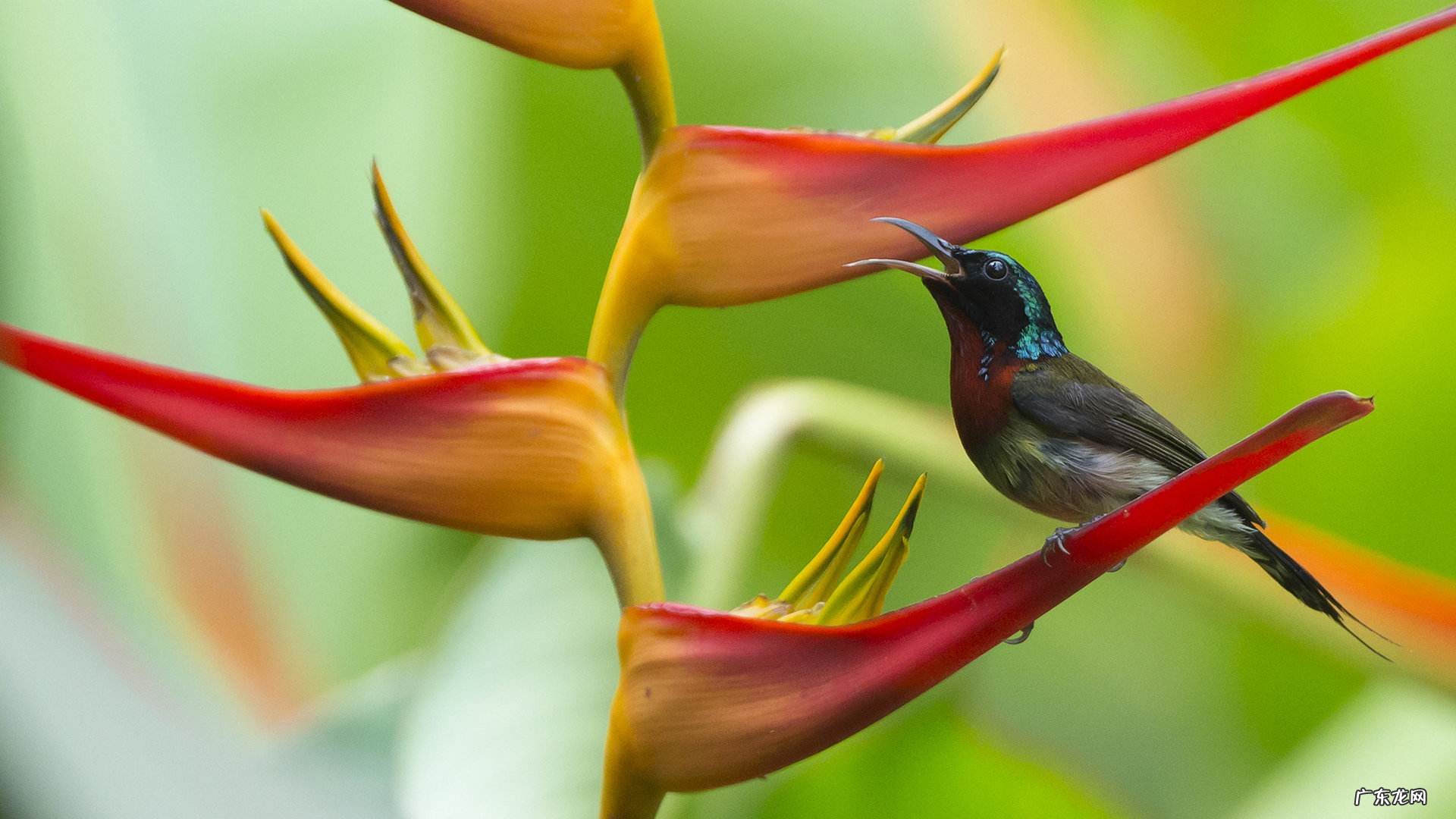 不要轻易和哪个星座的人开玩笑?