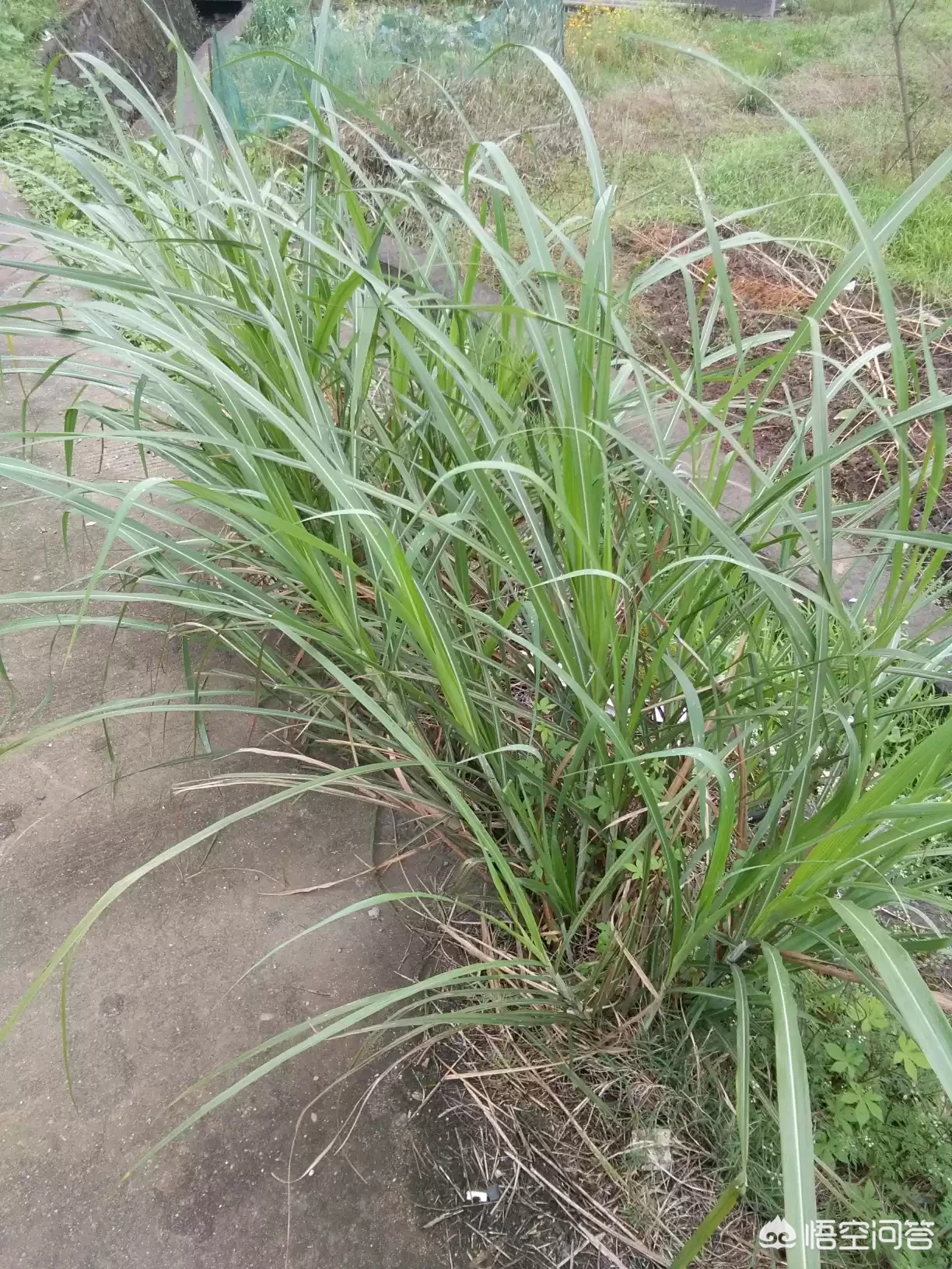 做梦时发脾气会伤身体吗?