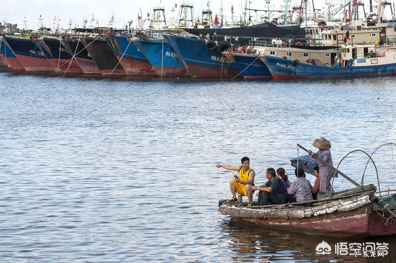 什么程度算是摄影的入门级别?