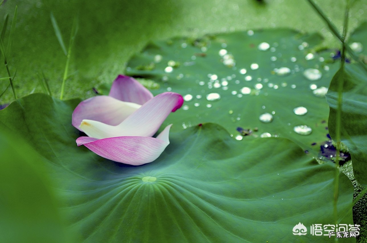 什么程度算是摄影的入门级别?