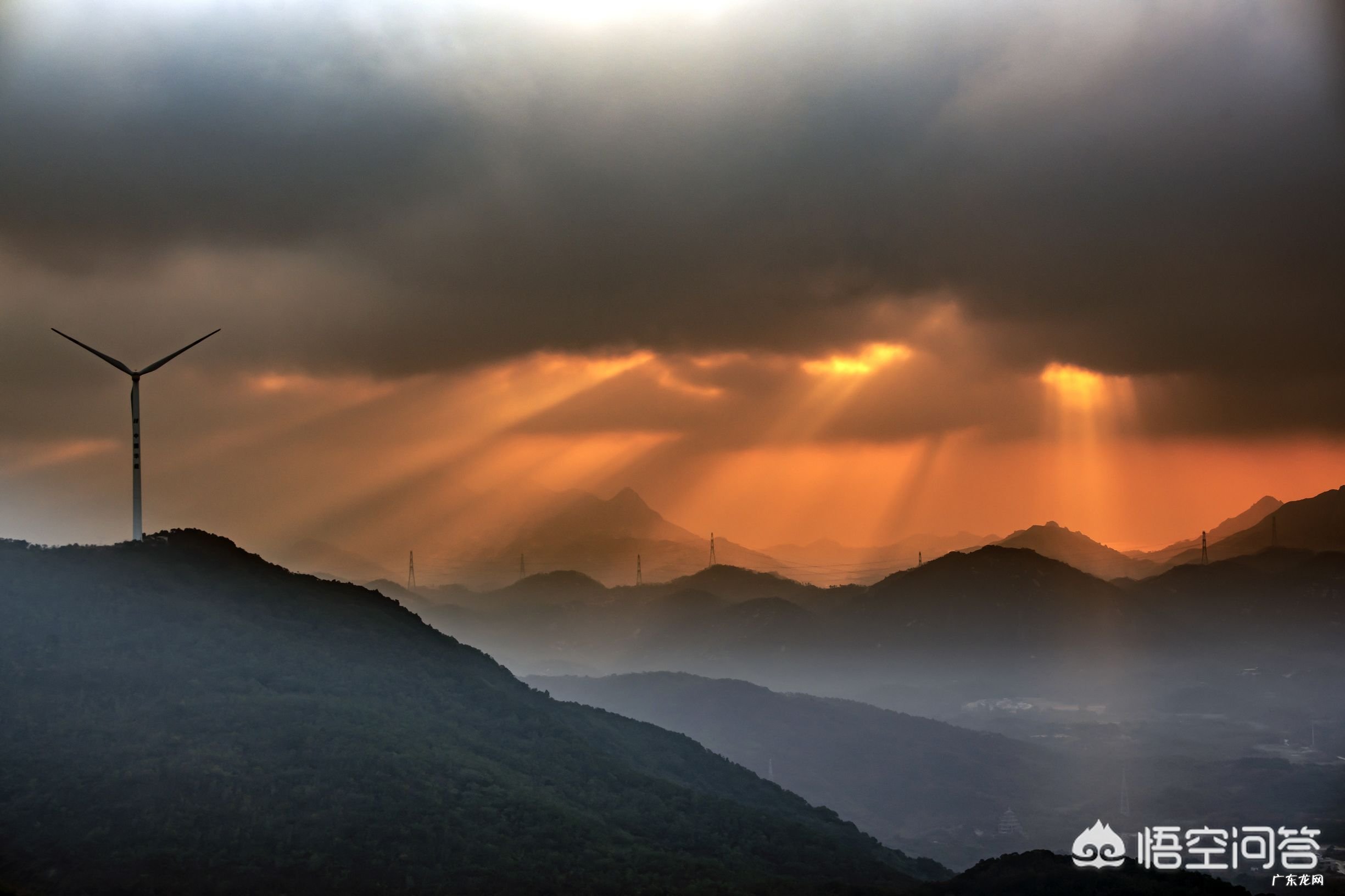 什么程度算是摄影的入门级别?