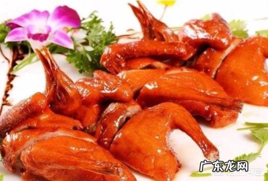 乳鸽和老鸽,哪个营养价值高?