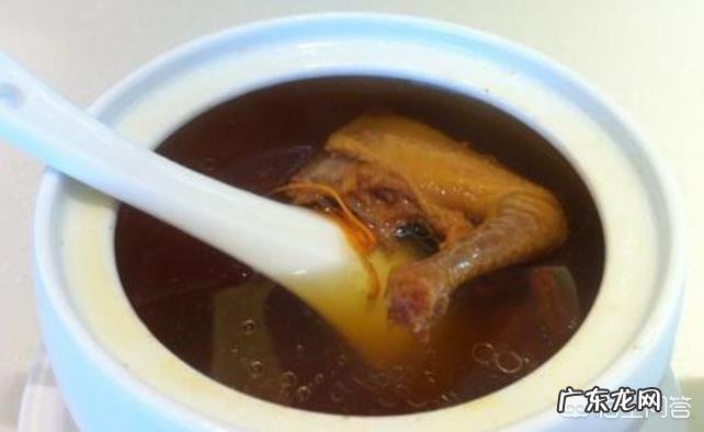 乳鸽和老鸽,哪个营养价值高?