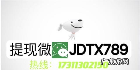 怎么用京东白条换现金 白条怎么换成现金