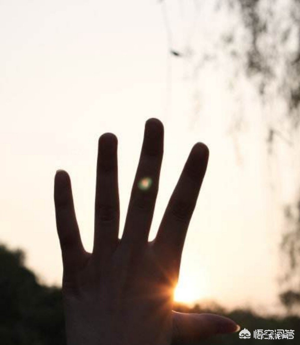 人的生命因爱而来，为什么呢？