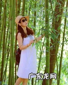 挺拔是形容什么的 苍什么挺拔四字成语大全