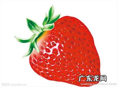 草莓图画简易画画教程 草莓图片大全可爱头像