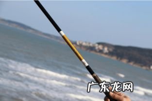 鱼竿4h5h6h和调性 钓竿的4h5h6h是什么意思