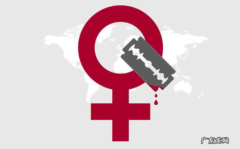 性教育女性外生器 女性外殖生器