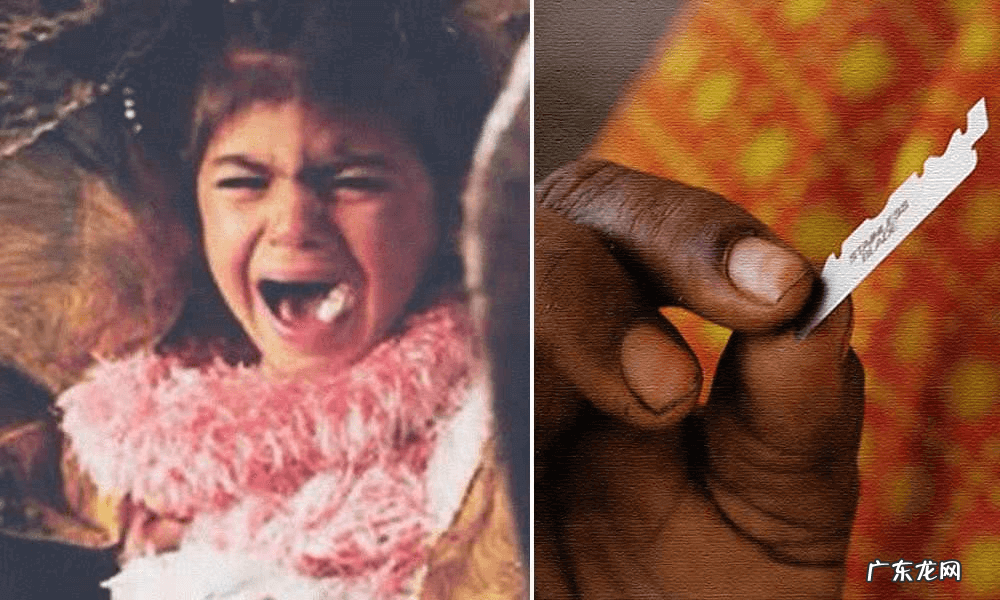 性教育女性外生器 女性外殖生器