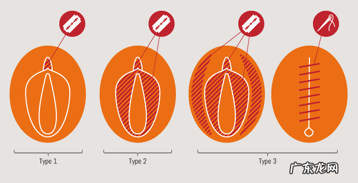 性教育女性外生器 女性外殖生器
