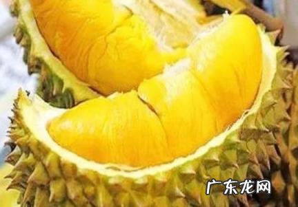 榴莲裂开了但是里面硬还能熟吗 榴莲裂开了但是里面硬还能熟吗怎么办