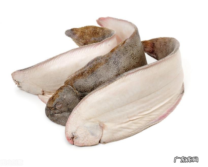 医生说巴沙鱼为什么不能吃 巴沙鱼千万不要吃