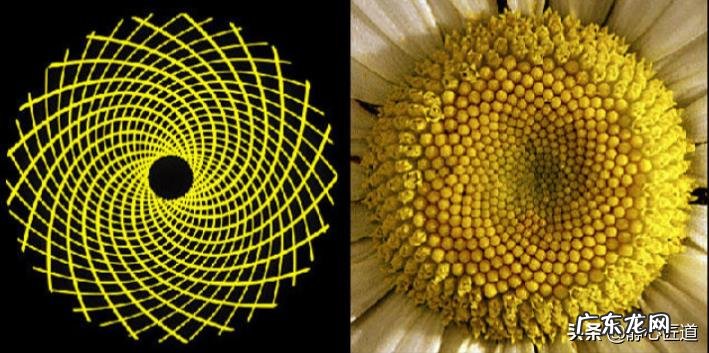 六六大顺，是指哪六大顺？