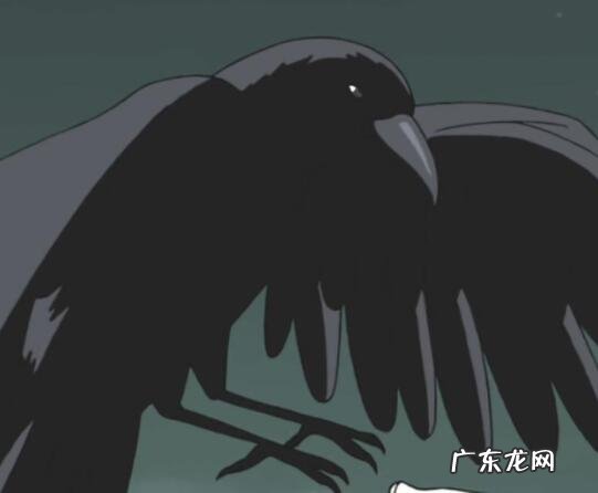 鸟屎掉在衣服上有什么预兆 鸟屎掉在衣服上有什么预兆周公