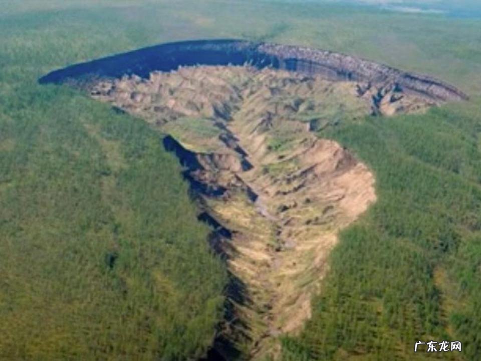 世界上最大的嘴巴 世界上什么嘴巴最大