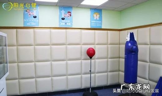 宣泄室的功能和作用是什么 宣泄室需要什么