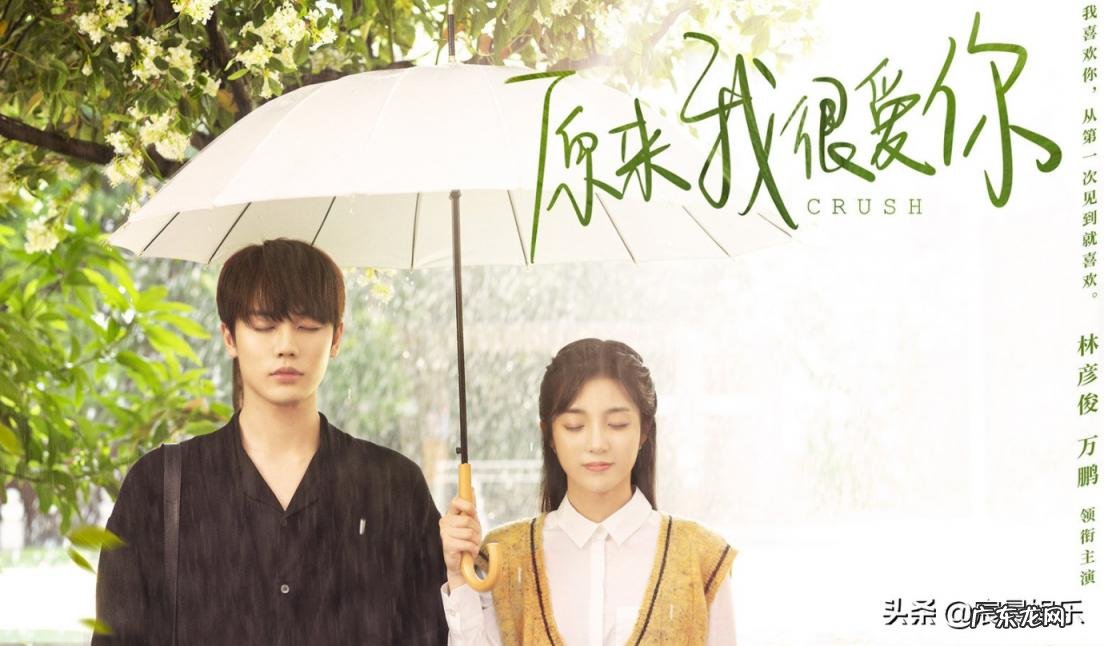 大镇反电视剧剧情介绍 电视剧异镇的演员表