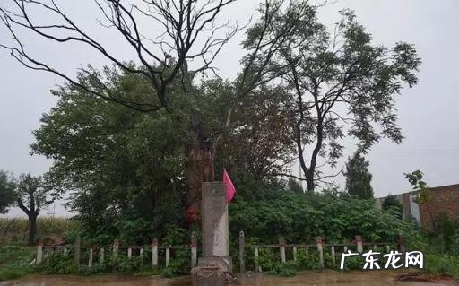 望闻问切是谁提出的? 扁鹊 华佗 张仲景 孙思邈 望闻问切的提出者